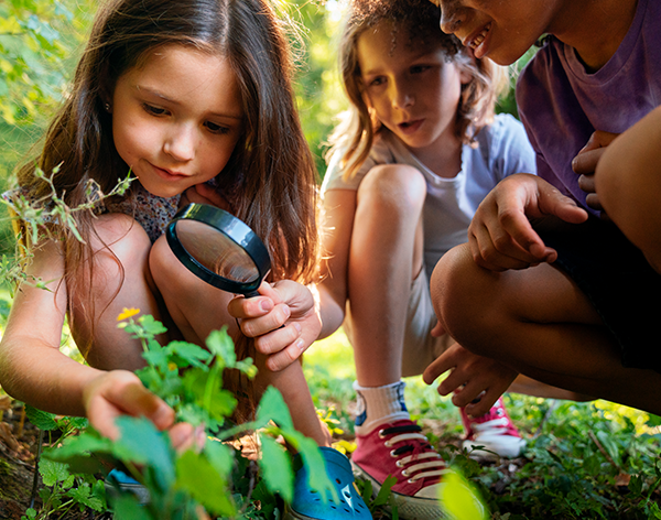 Cultura e Literatura Africana e Indígena